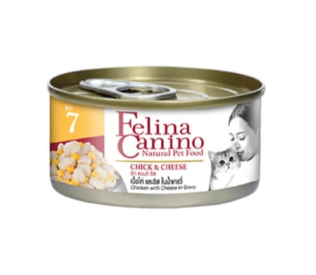 اكل قطط بالدجاج