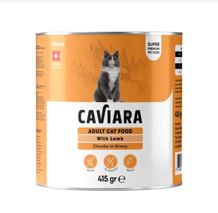 اكل معلب للقطط