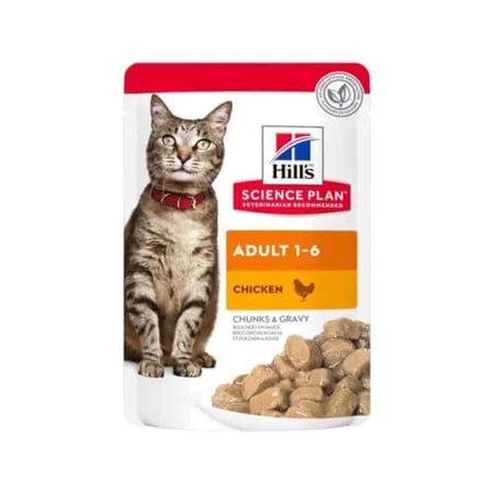 اكل القطط الرطب