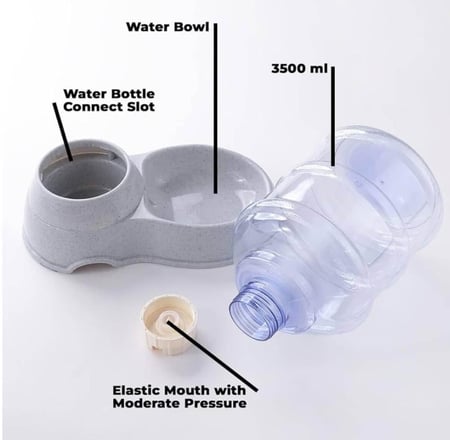 صحن ماء للقطط