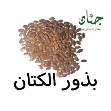 بذور الكتان ( LINUM USITATISSIMUM )
