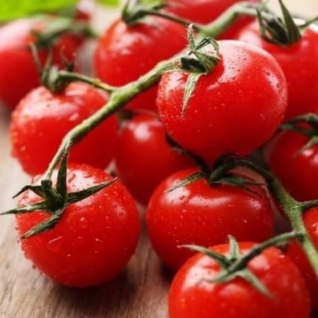 بذور طماطم كرزي - شيري أحمر ( Solanum lycopersicum var )