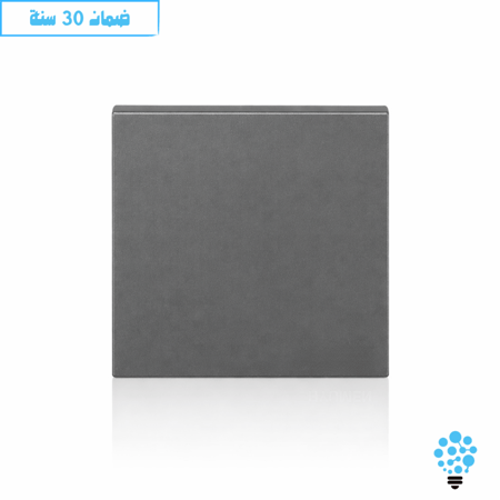 مفتاح مفرد رمادي HYLUMEN DAYZER