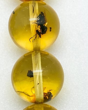 قوافل سبحة كهرمان بلطيقي طبيعي محشر من النوادر Namb0029