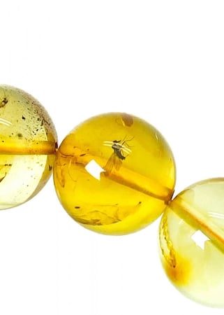 قوافل سبحة كهرمان بلطيقي طبيعي محشر من النوادر Namb0035