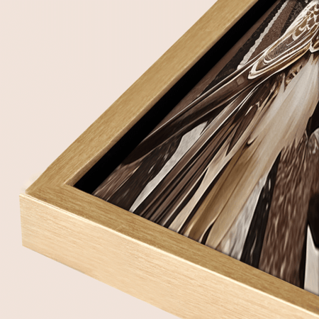 لوحة فنية جدارية مودرن تُظهر صقراً عربياً