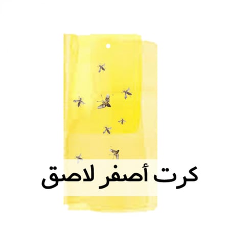 كرت أصفر لاصق