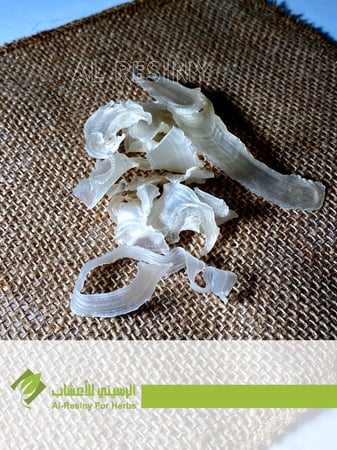 عشبه الكثيرة