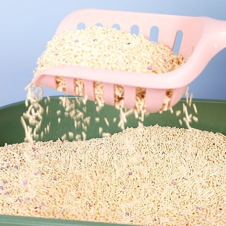 مجرفة رمل كبيرة بألوان مختلفة