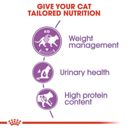 رويال كانين طعام جاف للقطط ستيرلايزد 37 بأحجام مختلفة