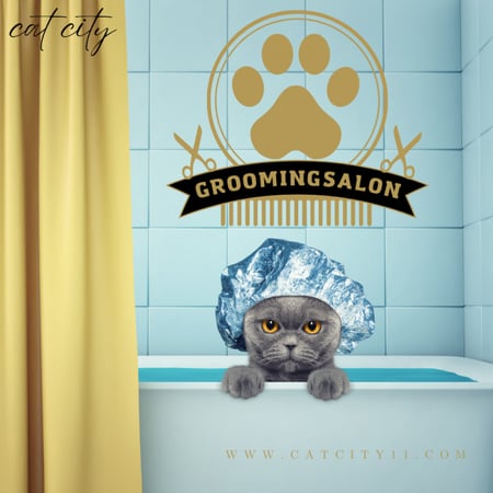 الباقة الذهبية للقطط