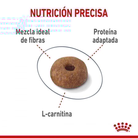 رويال كانين طعام جاف للقطط فيت 32 بأحجام مختلفة