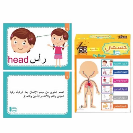 بطاقات جسم الانسان التعليمية