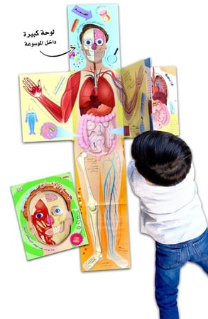 جسم الانسان من الخارج إلى الداخل