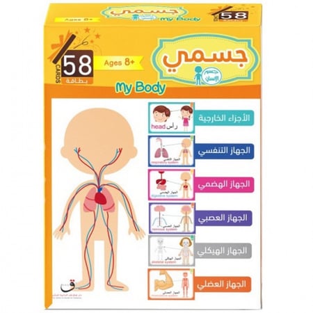 بطاقات جسم الانسان التعليمية