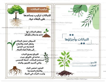 المطوية علوم ثالث النباتات وأجزاءها صف ثالث ابتدائي ملف PDF جاهزة للطب