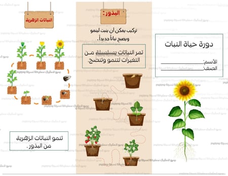 مطوية النباتات وأجزاؤها ماده العلوم للصف الثالث ابتدائي الفصل الدراسي الأول PDF