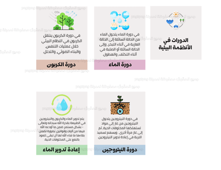مطوية الدورات في الأنظمة البيئية ماده العلوم للصف الخامس ابتدائي الفصل الدراسي الأول PDF