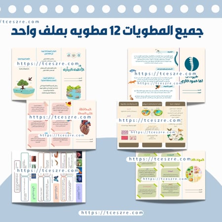 مطويات علوم رابع ابتدائي الفصل الدراسي الأول PDF