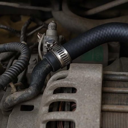 قفيز لي تايواني