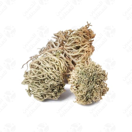 عشبة كف مريم 100 جرام