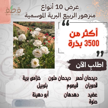 عرض لمجموعة من بذور الربيع الموسمية