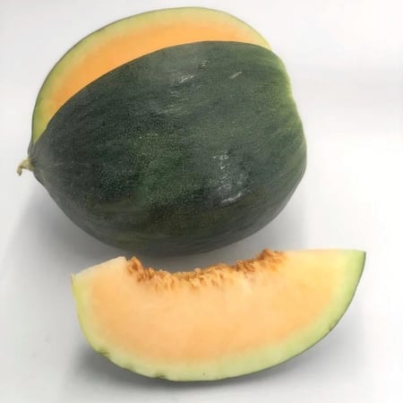 بذور شمام الكساب