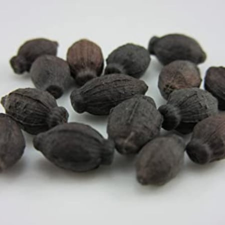 بذور زهرة الساعة الرابعة شب الليل