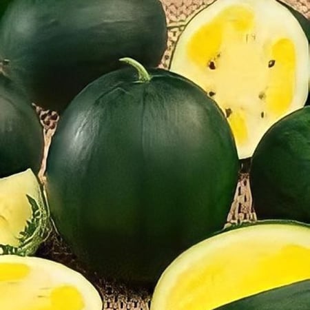 بذور بطيخ دايموند الأصفر