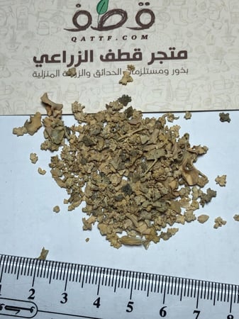 جملة 4000 بذرة من عشبة الرغل الرعوية