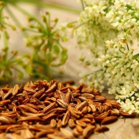 بذور الكمون