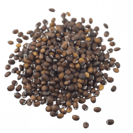 بذور النعناع البري