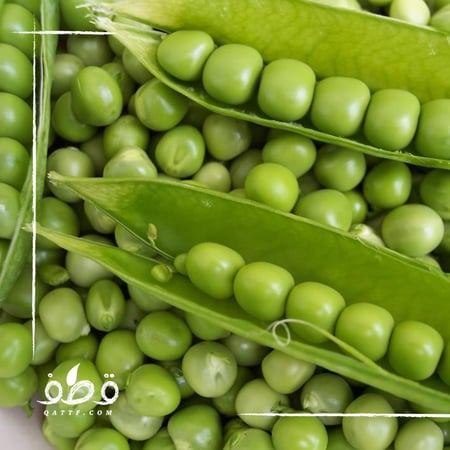 بذور البازلاء - Pisum sativum