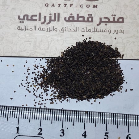 بذور الديدحان