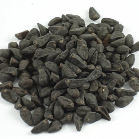 بذور مجد الصباح المتسلقة السماوية