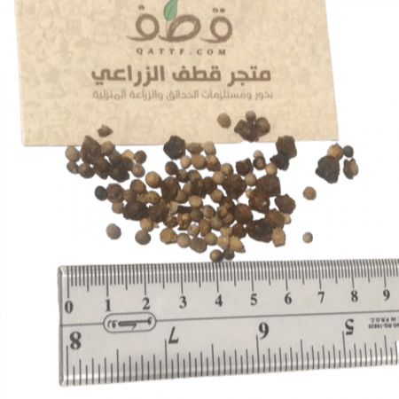 بذور الاراك