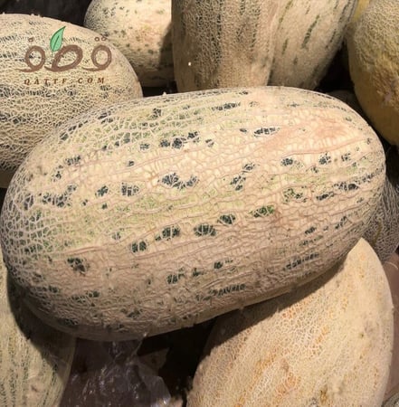 بذور شمام روسي   Cucumis melo
