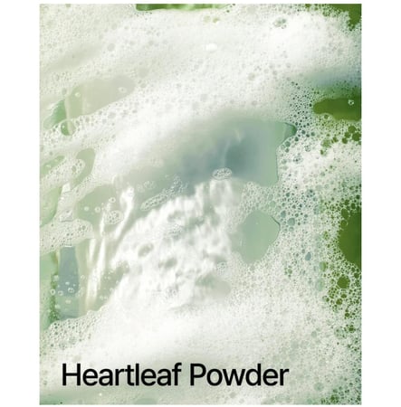 انوا هارت ليف كيرسيتينول رغوة التنظيف العميق للمسام - 150 مل