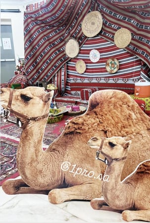 ستاند الجمل
