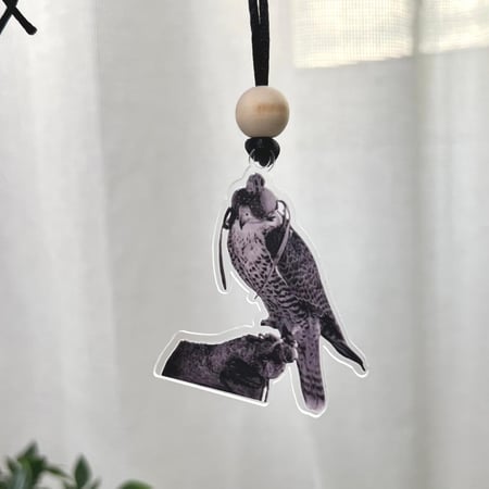 تعليقة سيارة فخمه