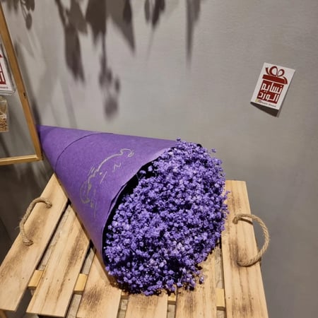 باقة جيبسفوليا طبيعي