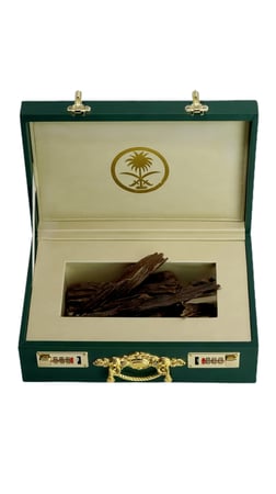 الدرعيه