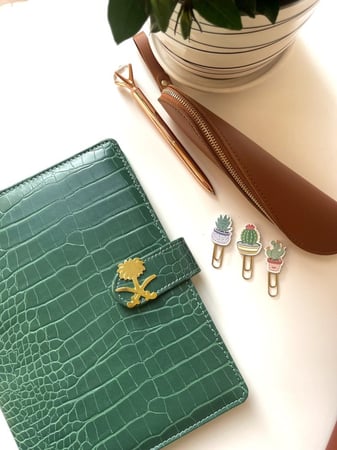 بروش-بنز سيفين ونخلة