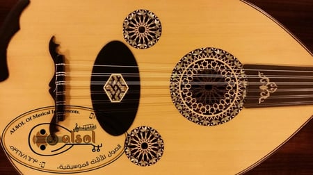 عود موسيقي