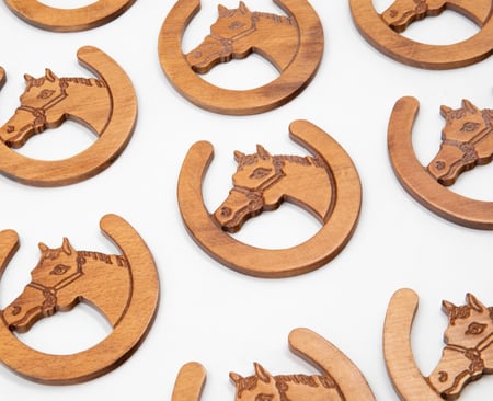 كوستر حذوة الحصان