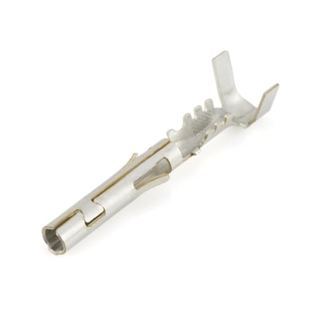 بنات افياش دلفي 20 امبير انثى WP