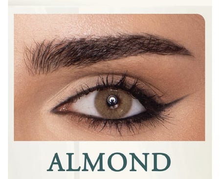عدسات لون اللوز Tinker bell ALMOND تينكربل الكورية اللاصقة - زينة الشهرية