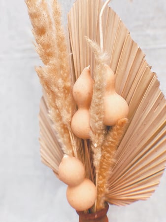 مجموعة اغصان بامباس صغير لون ابيض