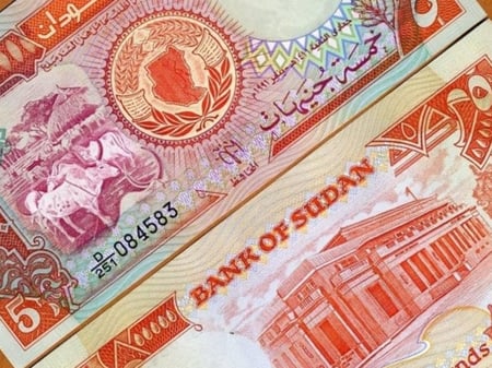 السودان فئة 5 جنية أنسر