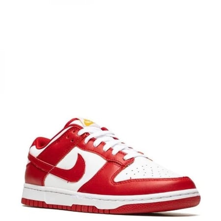 Nike Dunk Low Retro sneakers